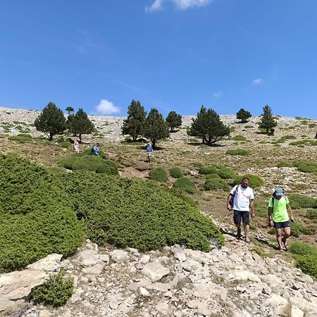 Coll de NargóDinosaur Houseアパートメント エクステリア 写真