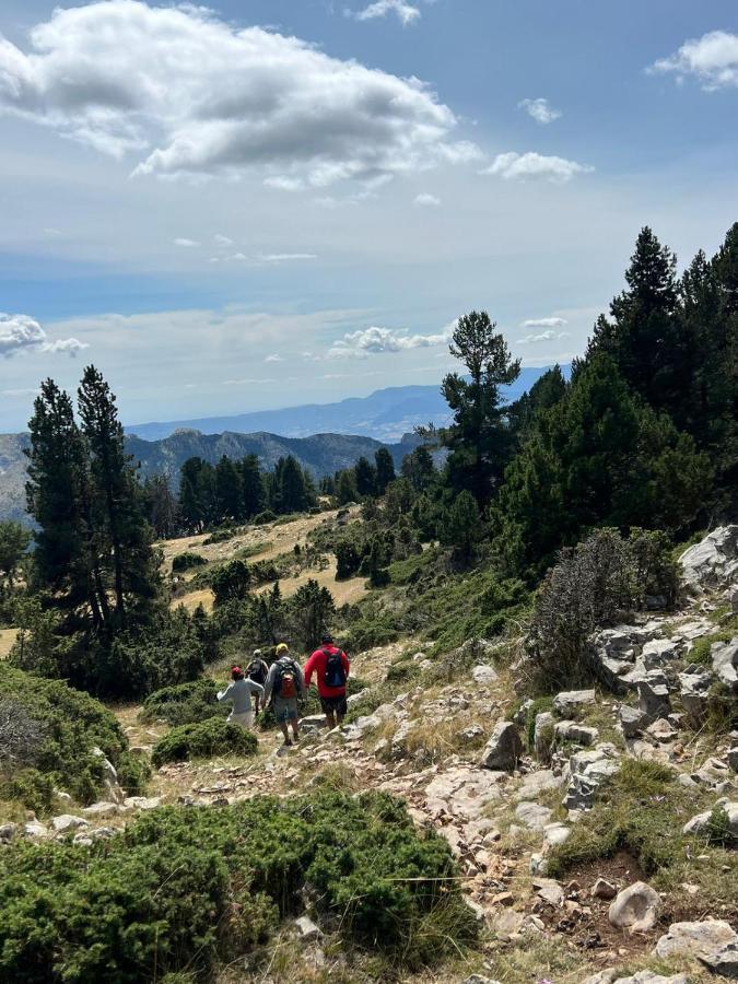 Coll de NargóDinosaur Houseアパートメント エクステリア 写真